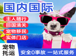 景德镇罗家航空邮寄国际宠物托运 【国